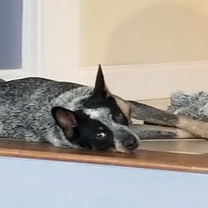 Meet your Posher, Tricia